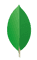 MongoDB